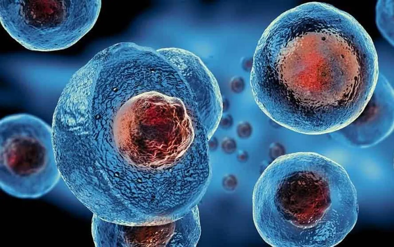 Stem Cell Therapy: स्टेम सेल थेरेपी मल्टीपल स्केलेरोसिस के इलाज के लिए आशाजनक, पढ़ें पूरी रिपोर्ट