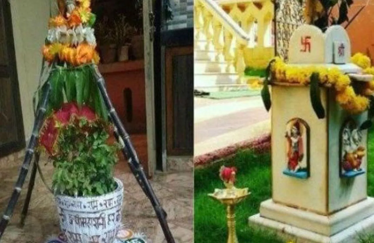 Tulsi Vivah 2023: तुलसी विवाह पर क्यों सजता है गन्ने का मंडप, जानें धार्मिक कारण