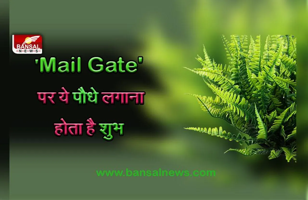 Plant Vastu Tips : क्या आप जानते हैं घर में नींबू का पेड़ लगाना भी होता है शुभ! क्या कहता है वास्तु