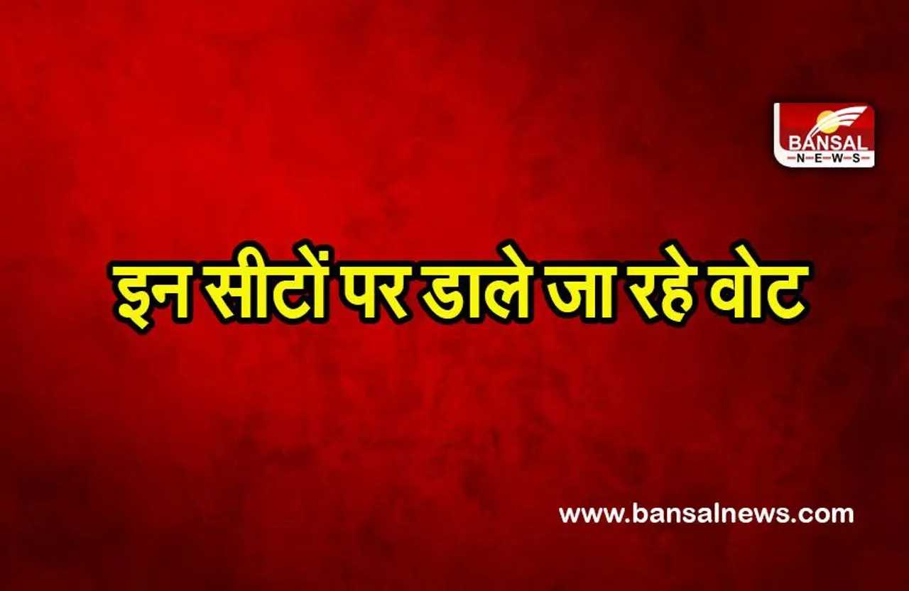 UP 2nd Phase election: 1 बजे तक यूपी में 39.07%  वोटिंग, इन सीटों पर डाले जा रहे वोट