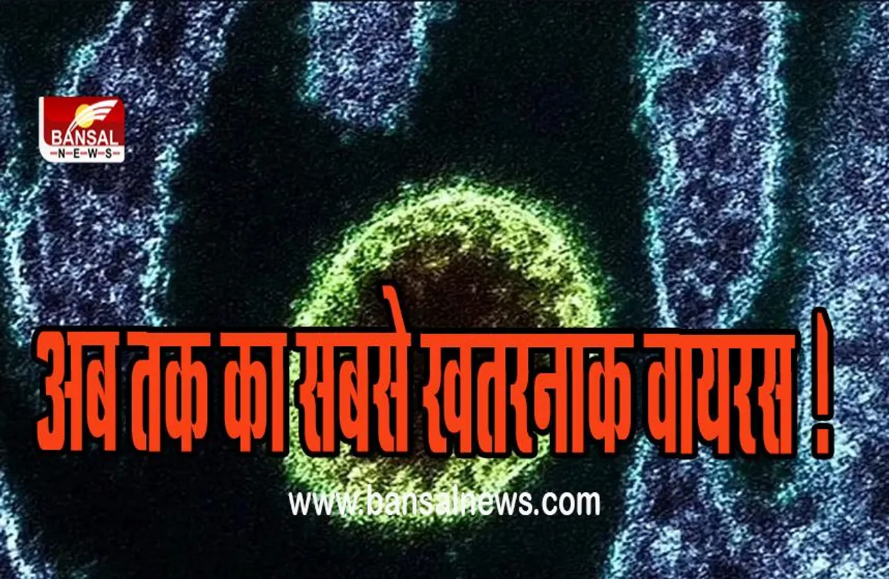 Langya Henipavirus : खतरनाक तरीकें से फैल रहा है एक और खतरनाक वायरस