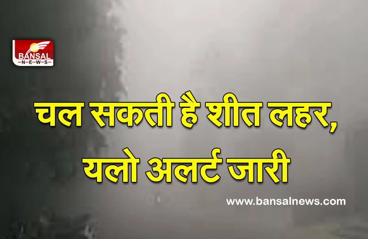 MP Weather : कर लें तैयारी, कोहरा और शीत लहर को लेकर मौसम विभाग ने दी चेतावनी