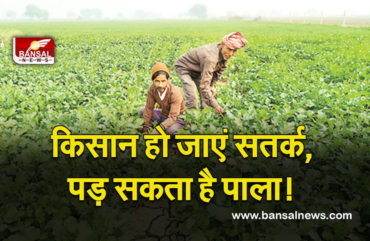 MP Weather Update : मौसम विज्ञानियों का अनुमान, पड़ सकता है पाला, किसान हो जाएं सतर्क