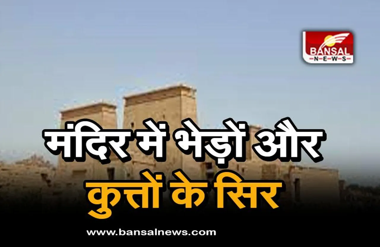 Egypt valley: मंदिर में भेड़ों और कुत्तों के सिर, खोजकर्ताओं का बड़ा खुलासा