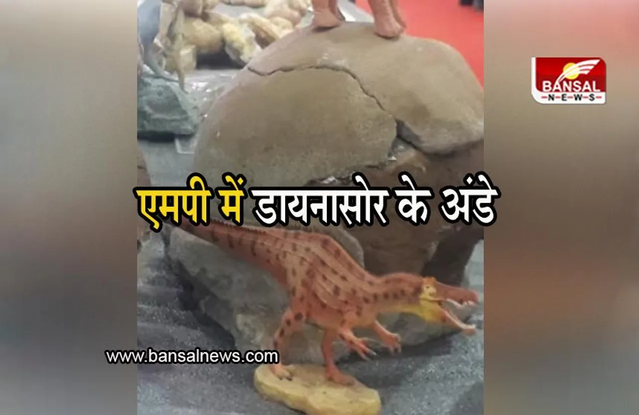 Dinosaur Eggs: एमपी में मिले डायनासोर के 256 अंडों के जीवाश्म, अनुसंधान संस्थान ने दी सूचना
