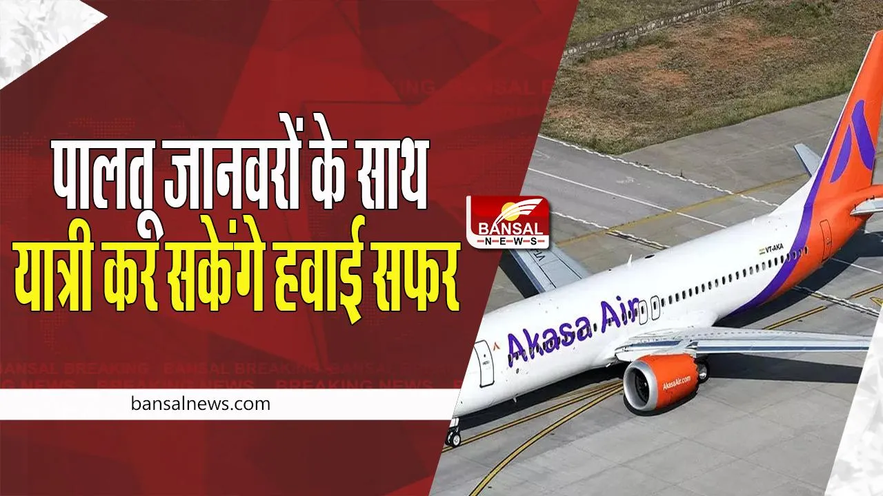 Pets Air Travel : अब नवंबर से आप भी अपने पालतू जानवरों के साथ कर पाएंगे यात्रा ! शुरू होने वाली ये एयरलाइंस