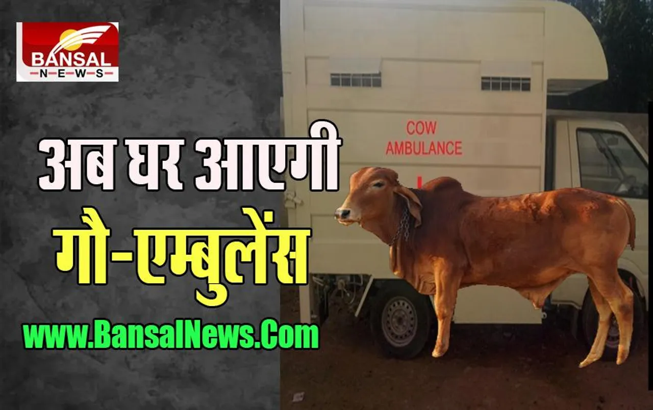 MP Cow Ambulance: आपकी गाय के इलाज के तुरंत पहुंचेंगी एंबुलेंस, मिल सकेगा त्वरित उपचार