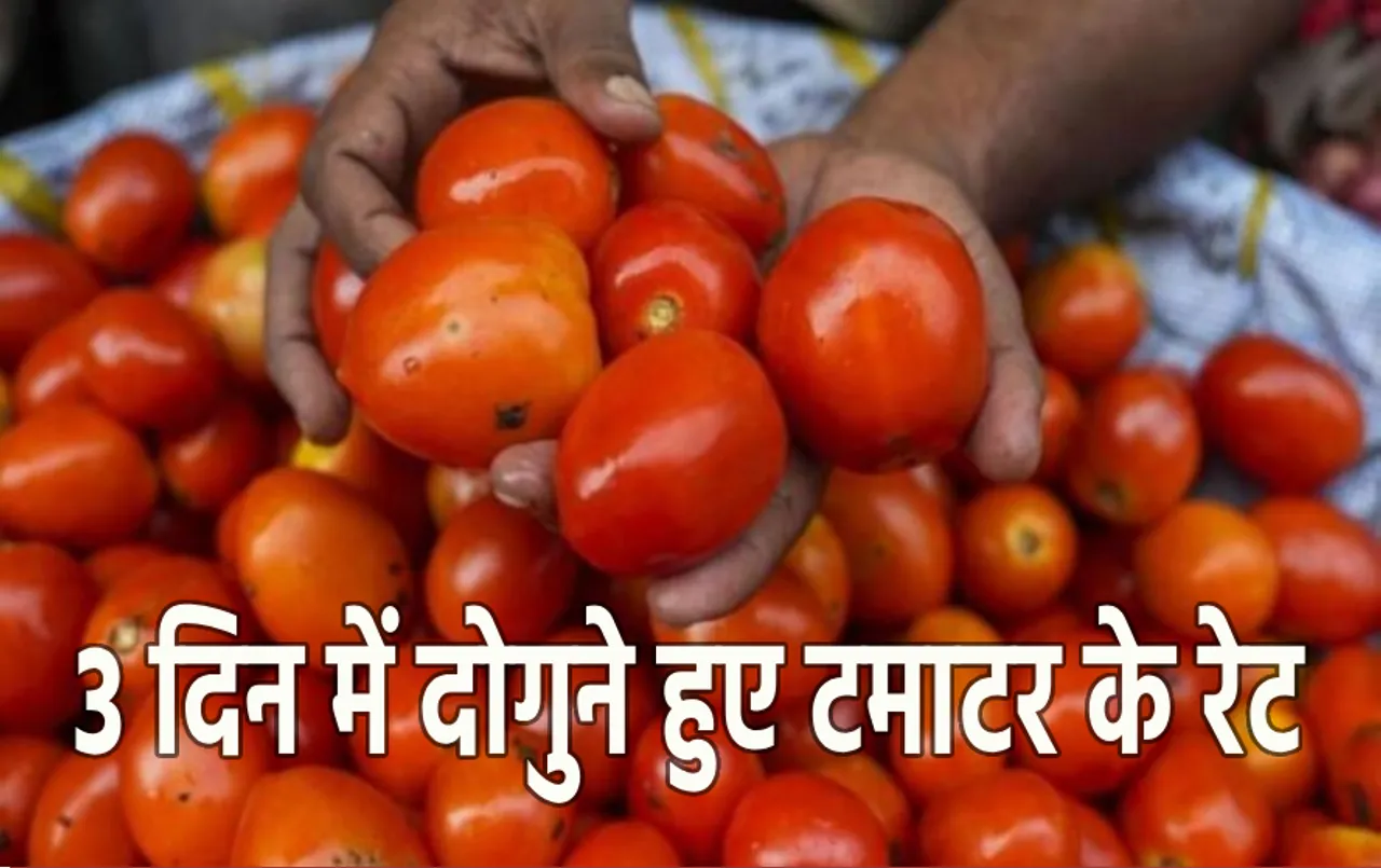 Vegetable Price Rise: सब्जियों की बढ़ती कीमतों से परेशान आम लोग, 15 दिनों में डबल हुए रेट, जानें क्या हैं कीमतें?
