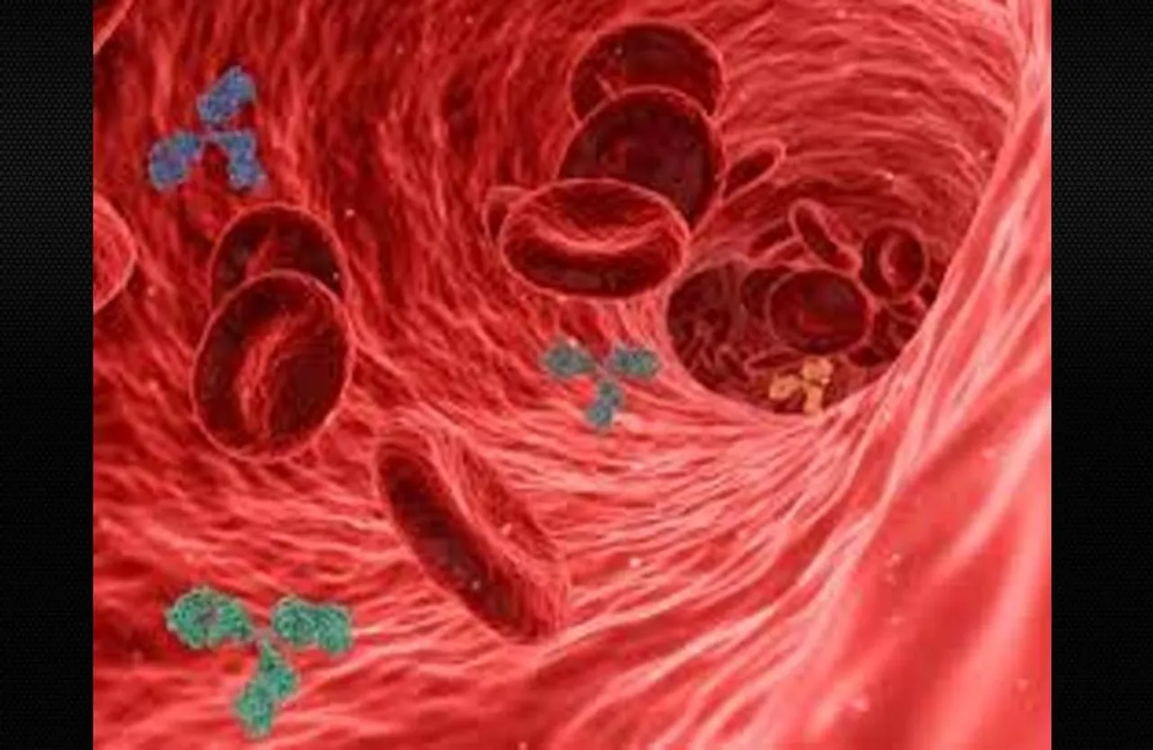 Blood Colour In Ocean: क्या समुद्र में खून का रंग दिखाई देता है हरा, जानिए ये रोचक फैक्ट यहां