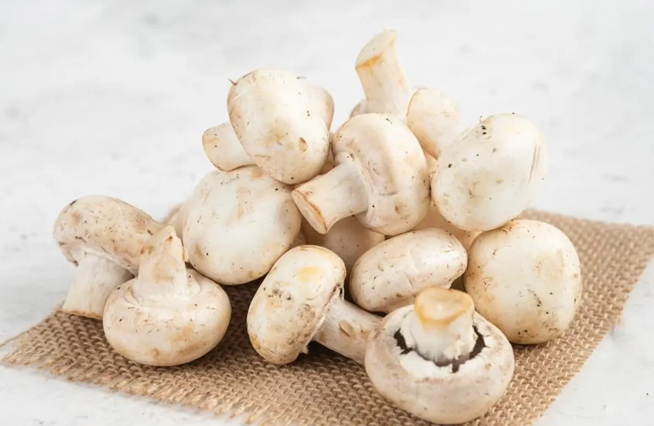 Mushroom Side Effects: जंगली मशरूम खाने वाले हो जाइए सावधान ! नहीं तो होगें सेहत को भारी नुकसान