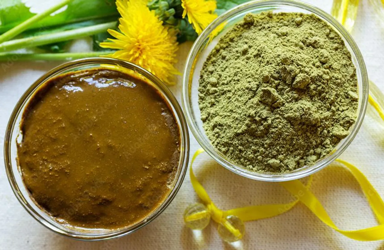 Mehndi: सफेद बालों से हैं परेशान, मेहंदी में ये खास चीज मिलाने से तुरंत चढ़ेगा काला रंग