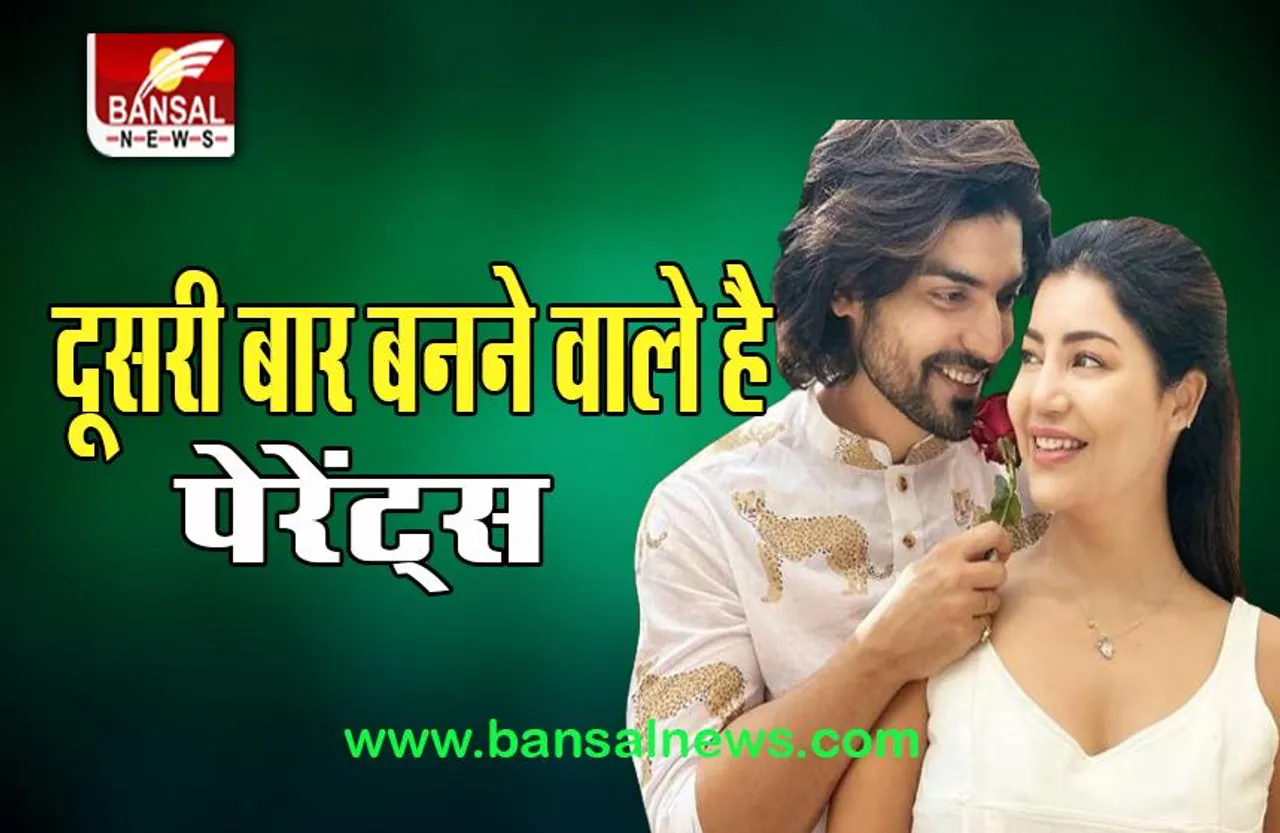 Debina Bonnerjee Pregnant: दूसरी बार पेरेंट्स बनने जा रहे गुरमीत-देबिना, 4 महीने पहले बेटी का हुआ जन्म