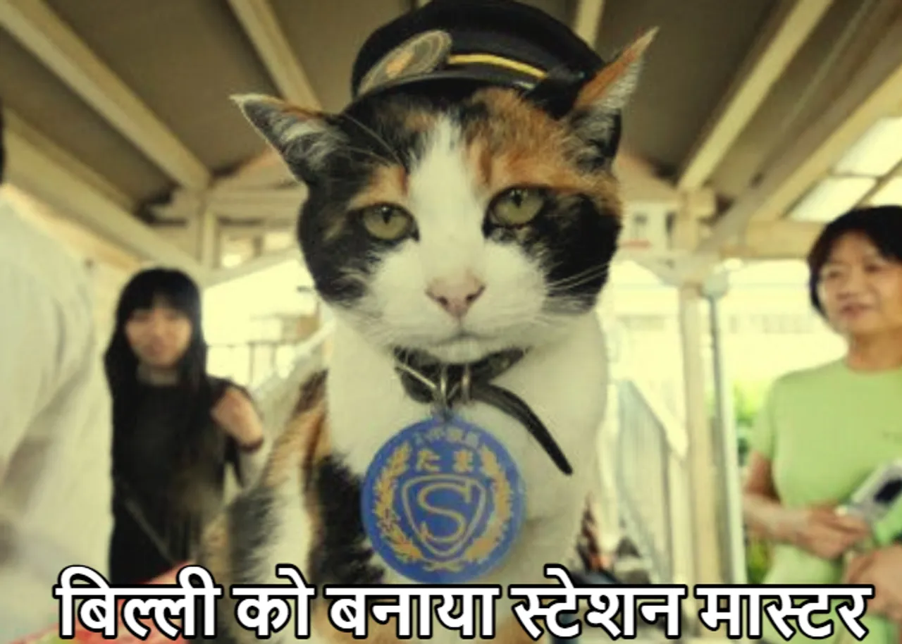 Amazing Railway Station: बिल्ली बनी स्टेशन मास्टर! ट्रेनिंग के बाद मिली बड़ी जिम्मेदारी, कहां पर है ये स्टेशन जानें