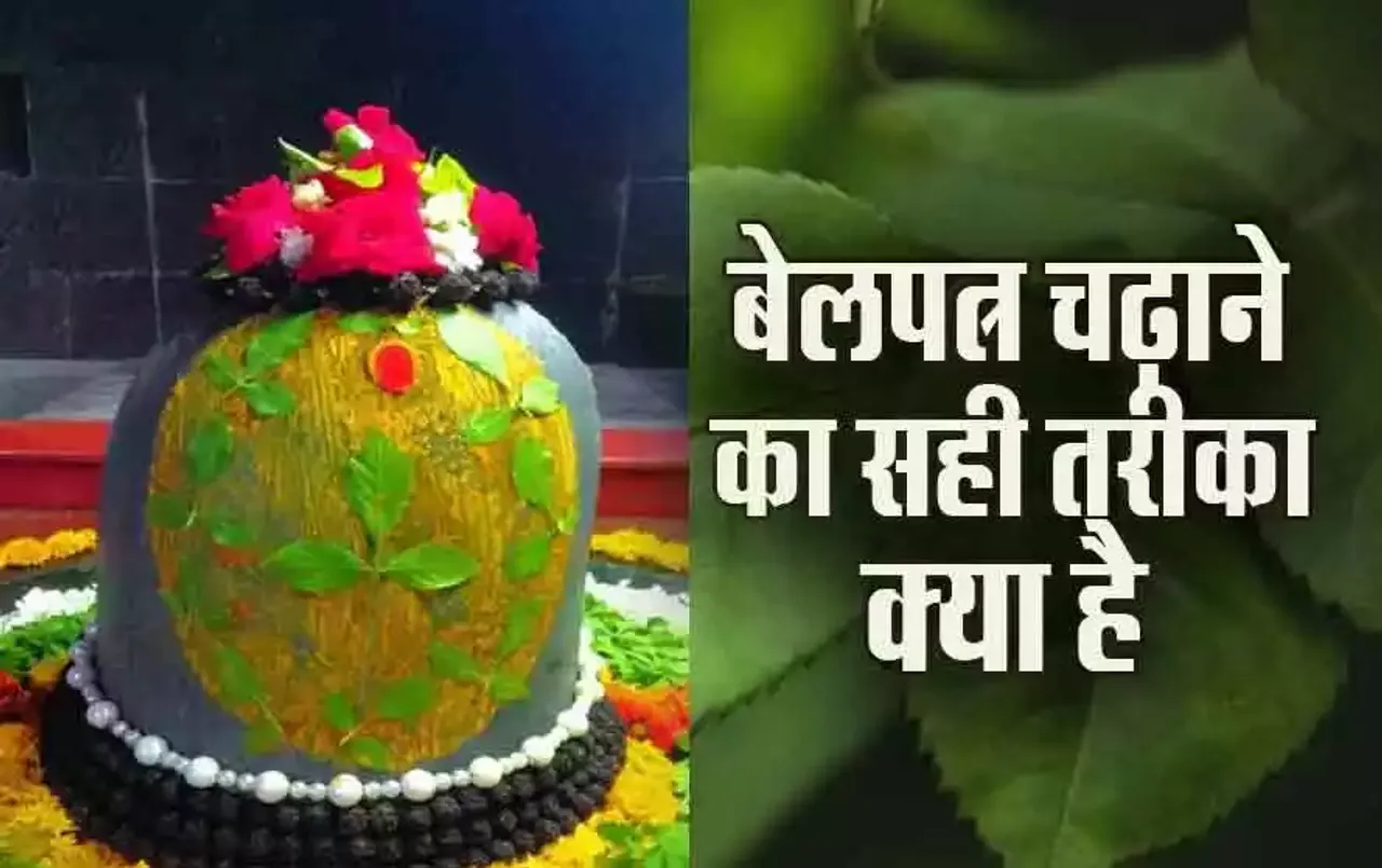 Savan 2024: बेलपत्र चढ़ाने के सही नियम क्या हैं, सीधी चढ़ानी चाहिए या उल्टी, क्या कहता है शास्त्र, जानें मंत्र और विधि