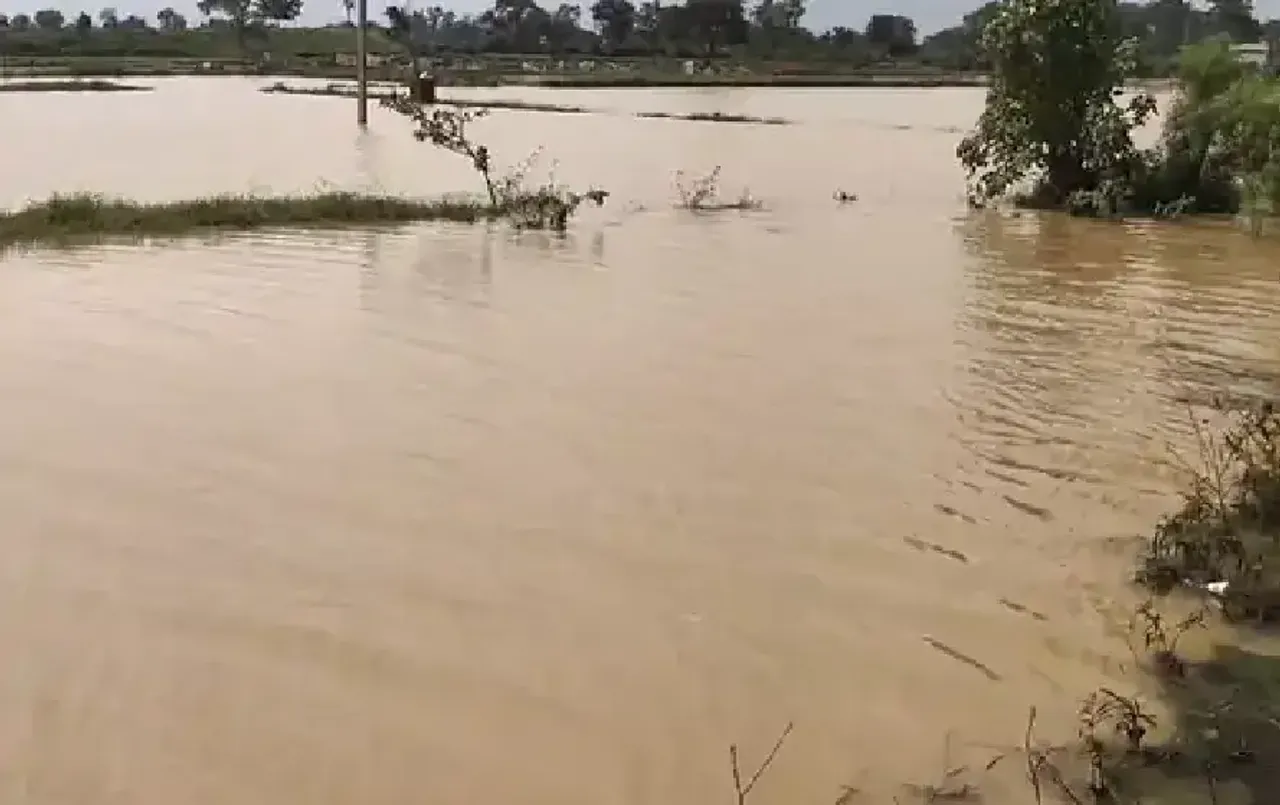 Bilaspur CG News: बिलासपुर में नहर टूटने से 500 एकड़ खेत की फसल डूबी, किसानों ने की मुआवजे की मांग