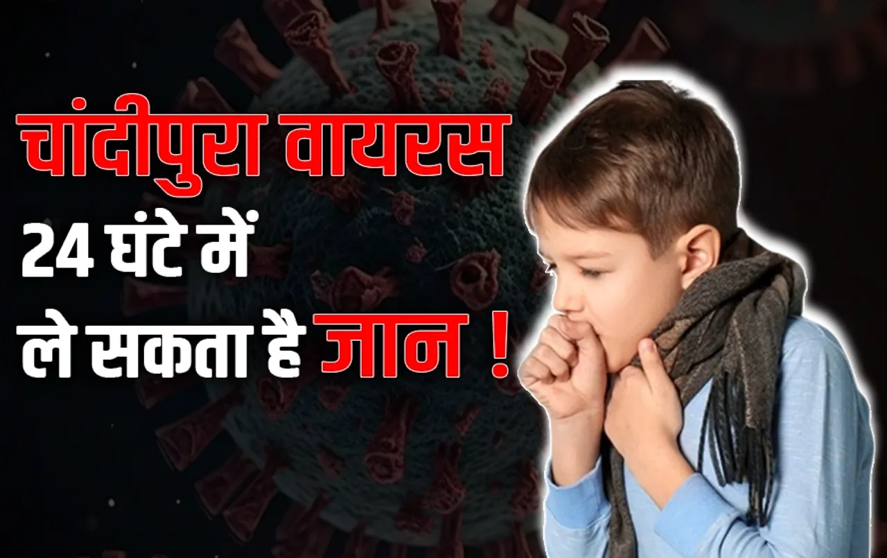 Chandipura Virus: तीन राज्यों में फैला चांदीपुरा वायरस आखिर है क्या ? इससे आपके बच्चे की जा सकती है जान, ऐसे करें बचाव