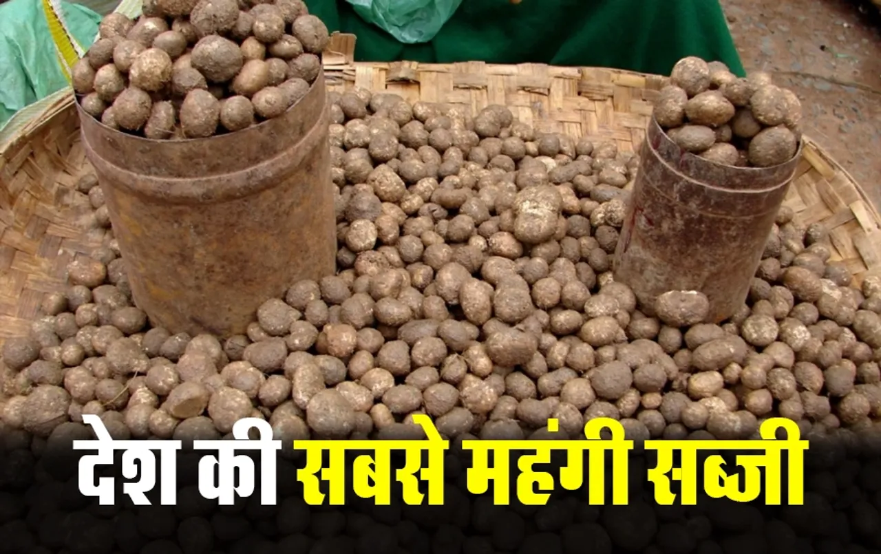 Chattisgarh Boda Vegetable: छत्तीसगढ़ में मिलती है देश की सबसे महंगी सब्जी, चिकन-मटन के स्वाद को भी करती है फेल
