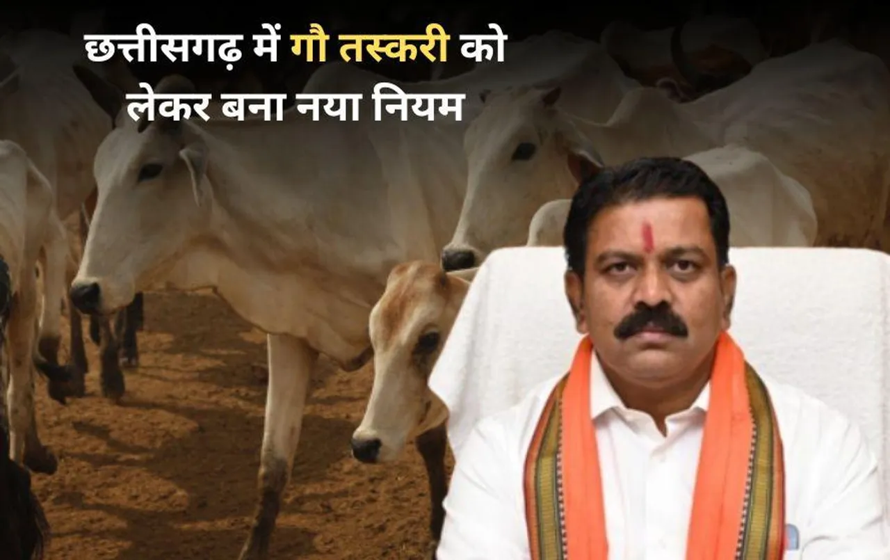 छत्तीसगढ़ में गौ तस्करी को लेकर नया नियम जारी: गौ-वंश का अवैध परिवहन करने पर 7 साल की सजा समेत भुगतने होंगे ये परिणाम