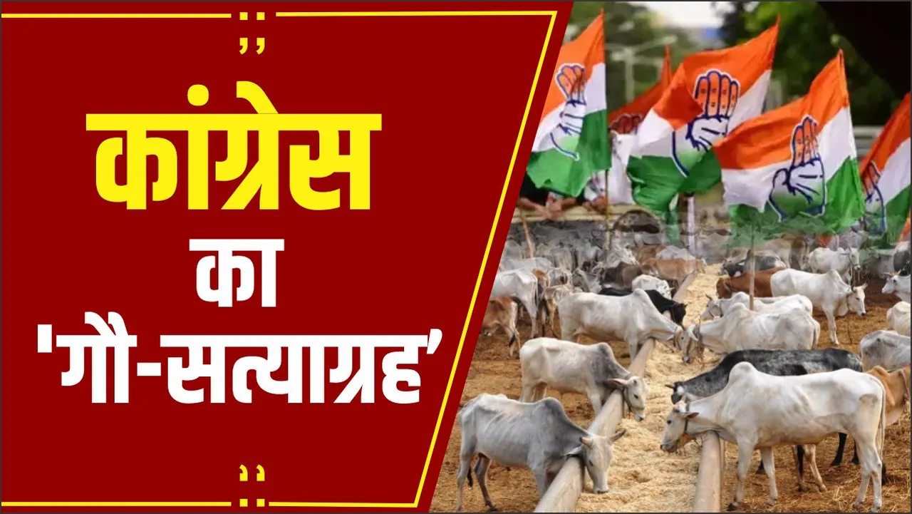 CG News: Congress का आवारा मवेशियों को लेकर प्रदर्शन, मवेशियों को SDM और कलेक्टर कार्यालय में बांधेंगे