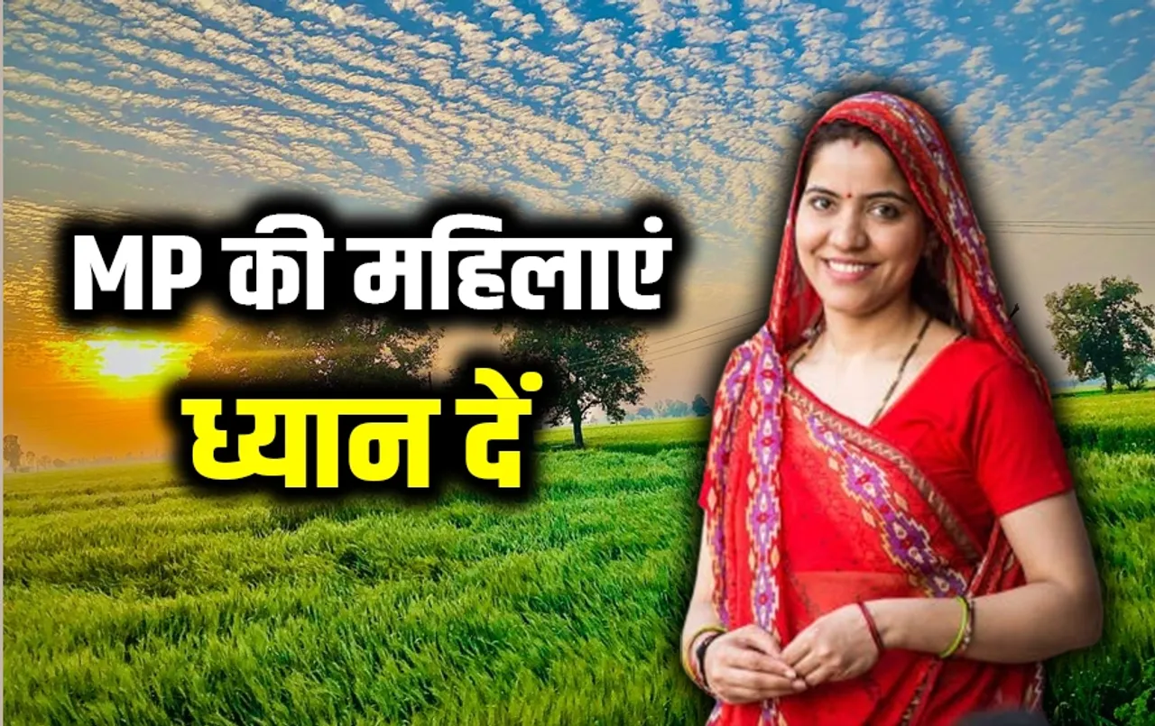 Free-Sonography-in-MP