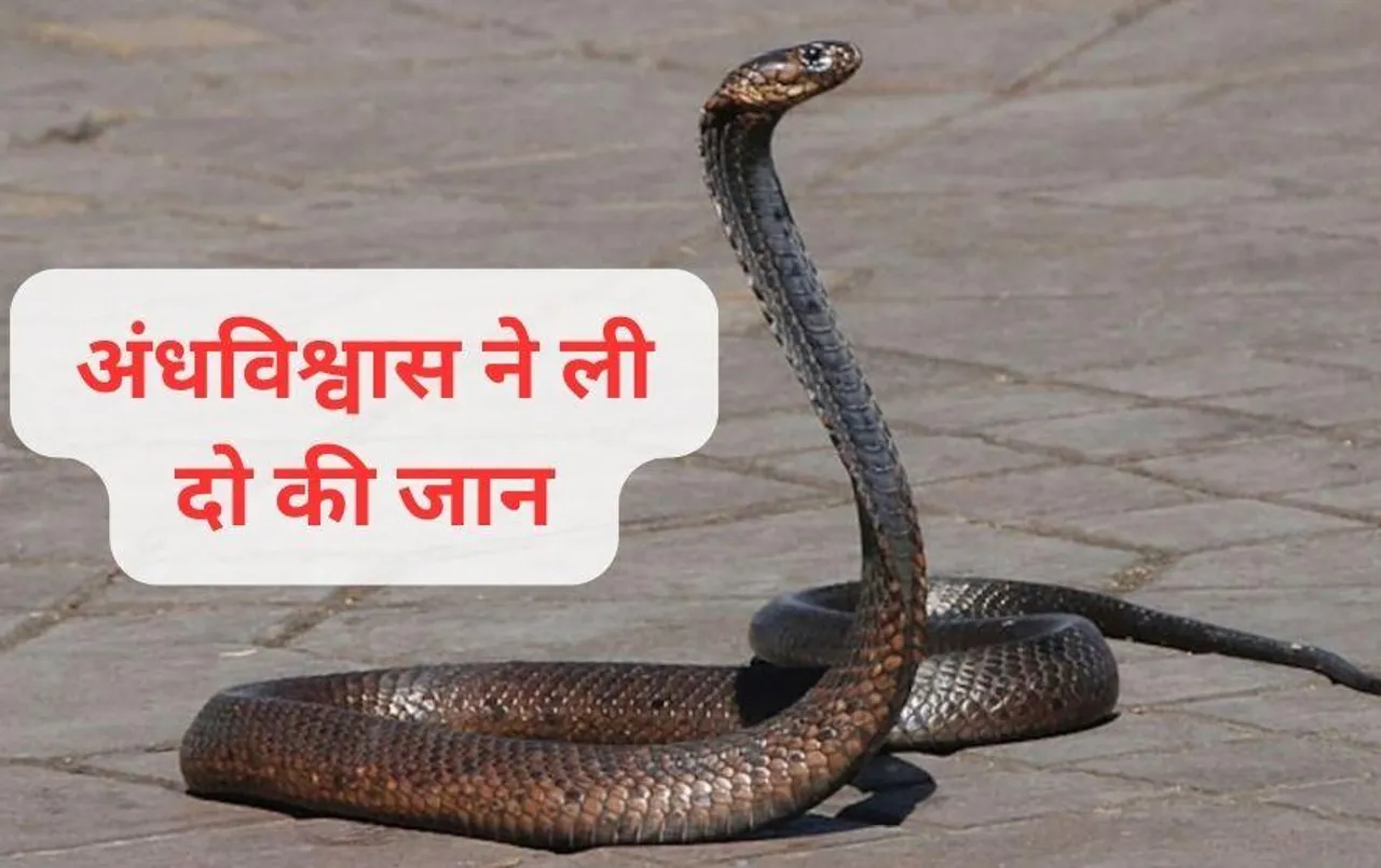 अंधविश्वास ने फिर ली जान: दो लोगों को सांप के काटने के बाद अस्पताल नहीं, झाड़-फूंक कराने ले गए थे परिजन, हुई मौत