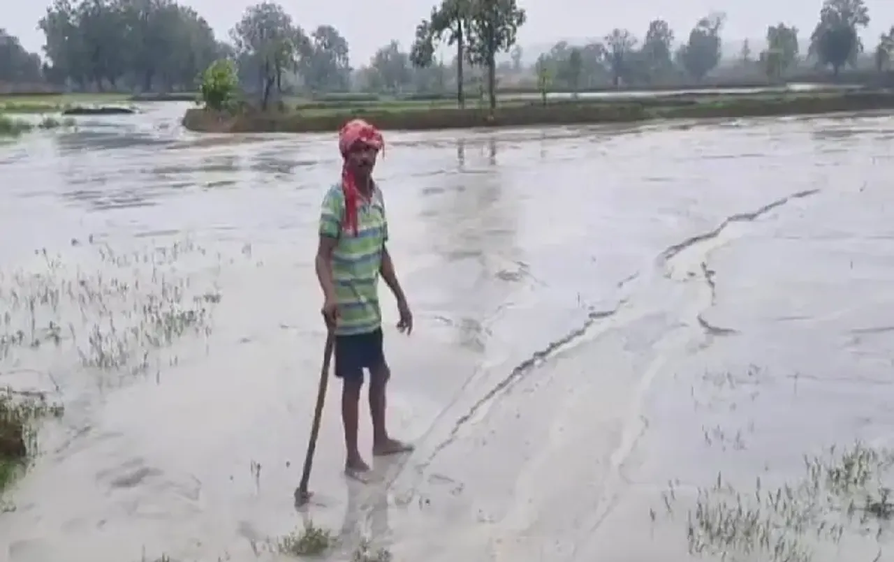 Korba CG News: जानलेवा राखड़ की खेतों में जमी डेढ़ फीट परत, जमीन पर बंजर होने का खतरा; खेती नहीं कर पाएंगे किसान