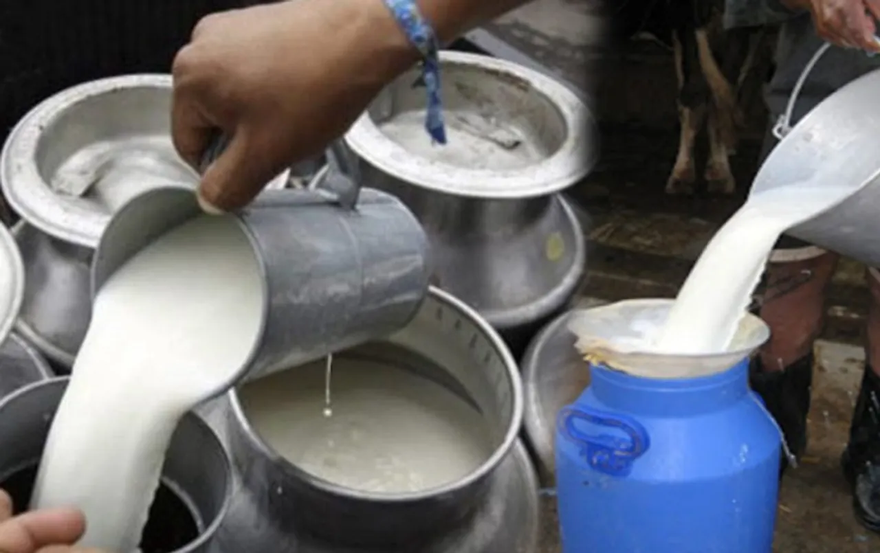 इस दुग्‍ध संघ ने किया मुरैना से दूध लेना बंद: मिलावट की शिकायतों के बाद लिया एक्‍शन, पशुपालन मंत्री ने कही बड़ी बात