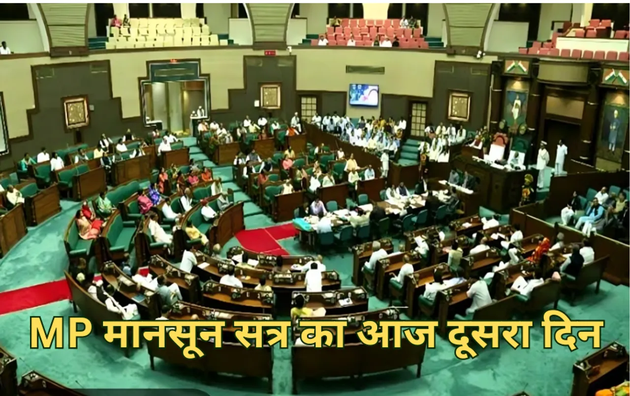 राहुल के हिंसक हिंदू वाले बयान पर सदन में हंगामा: सत्ता पक्ष ने की माफी मांगने की मांग, कांग्रेस कर रही जबरदस्‍त हंगामा