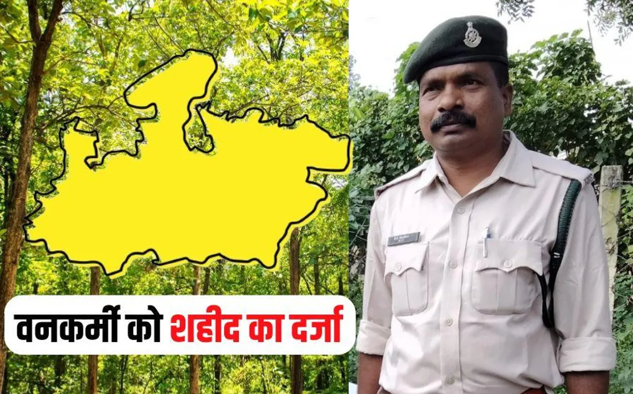 MP News: मध्यप्रदेश में पहली बार वनकर्मी को शहीद का दर्जा, जंगल की आग बुझाते वक्त बिगड़ी थी राजेंद्र कुसरे की तबीयत