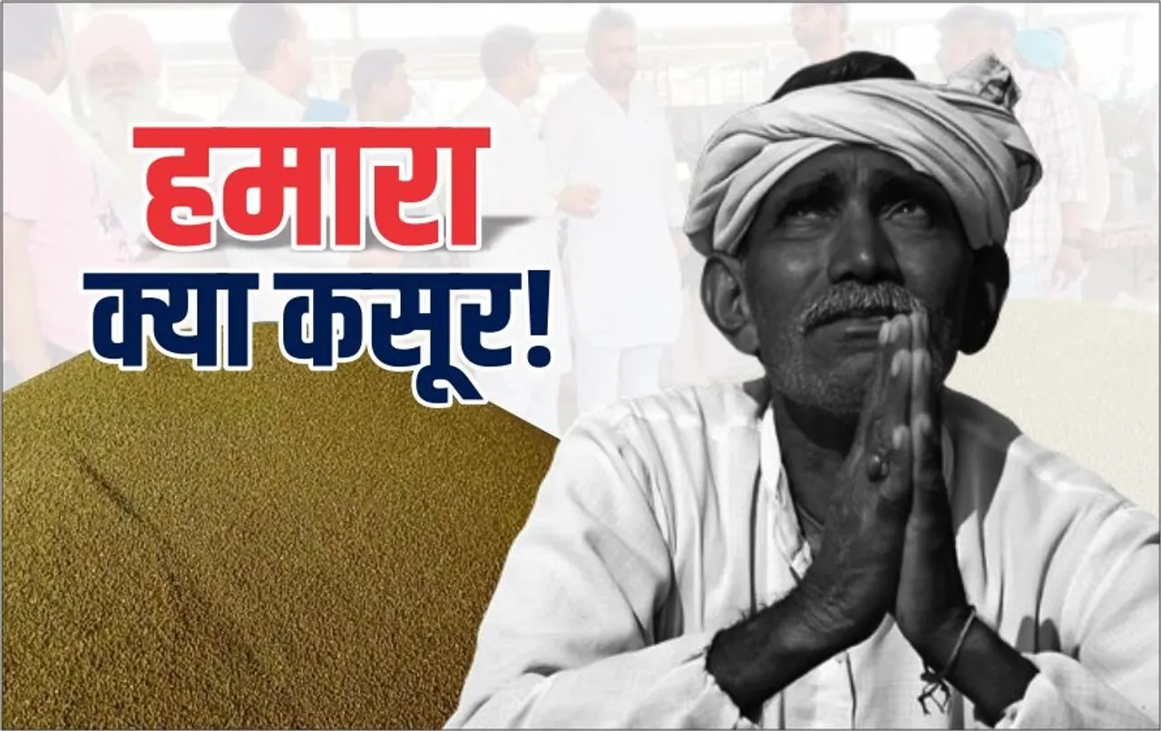 MP में मूंग उत्पादक किसानों को 810 करोड़ का नुकसान: 1 हेक्टेयर में मूंग का उत्पादन 15 क्विटंल, सरकार खरीद रही आधा