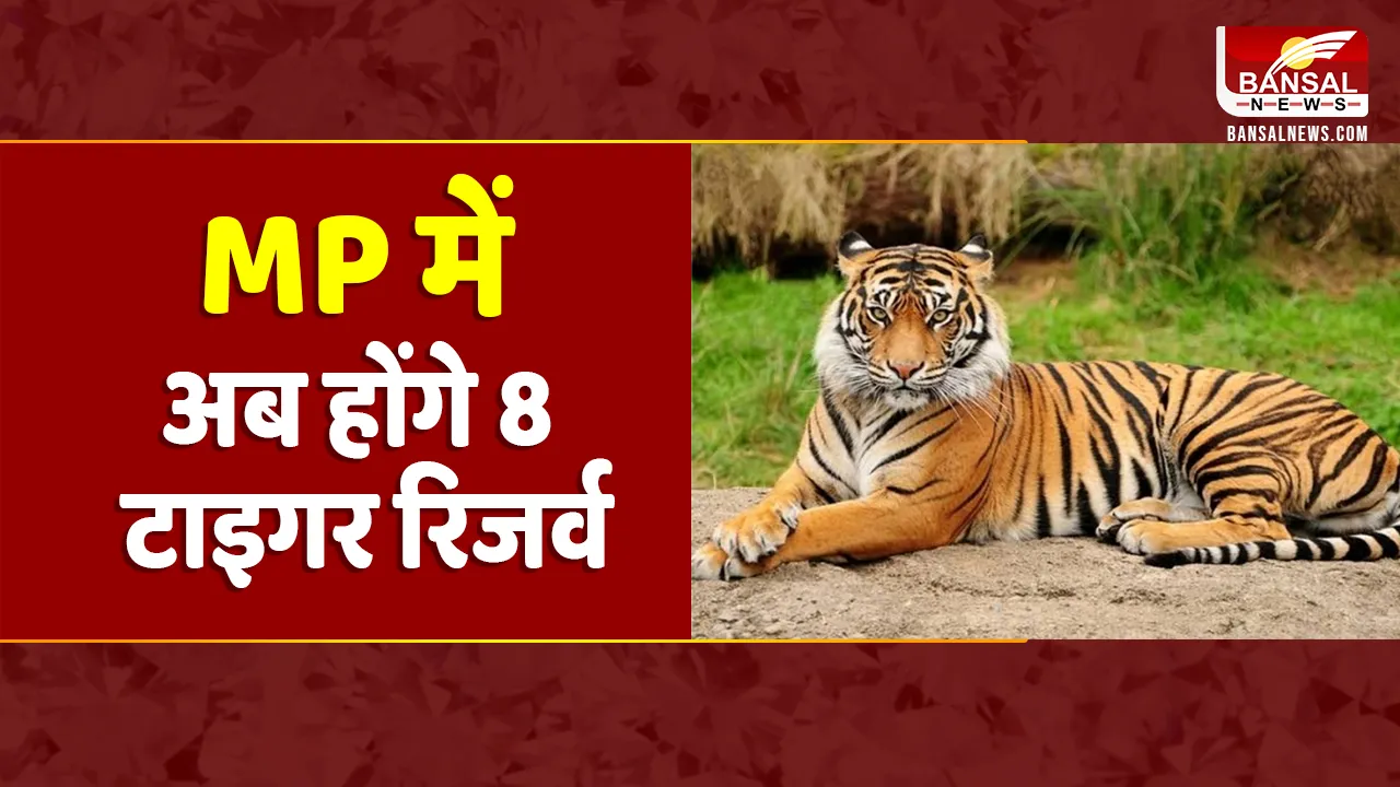 MP News: अब वाइल्ड लाइफ सेंचुरी Tiger Reserve बनेगा रातापानी, नागपुर के बाद भोपाल दूसरा बड़ा शहर