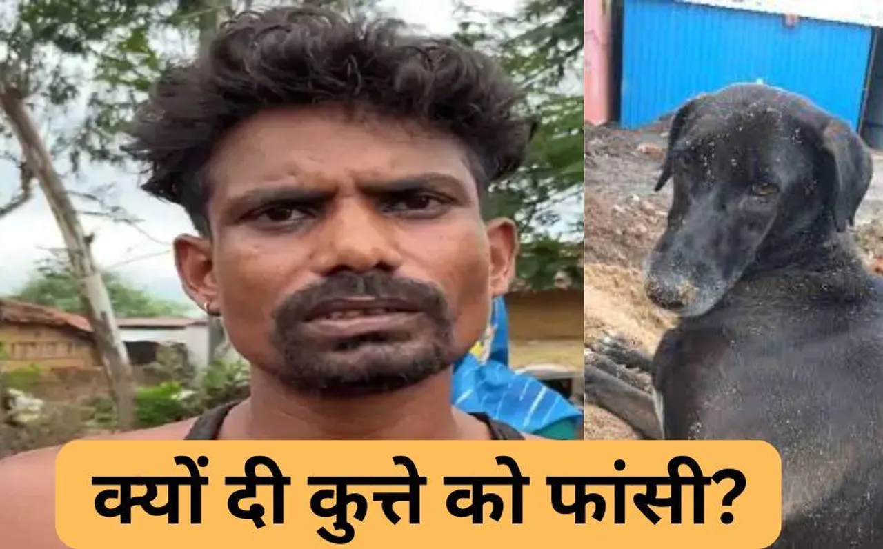 CG News: छत्तीसगढ़ में एक शख्स ने कुत्ते को फांसी पर लटकाया, जानें क्या रही ऐसा करने की वजह