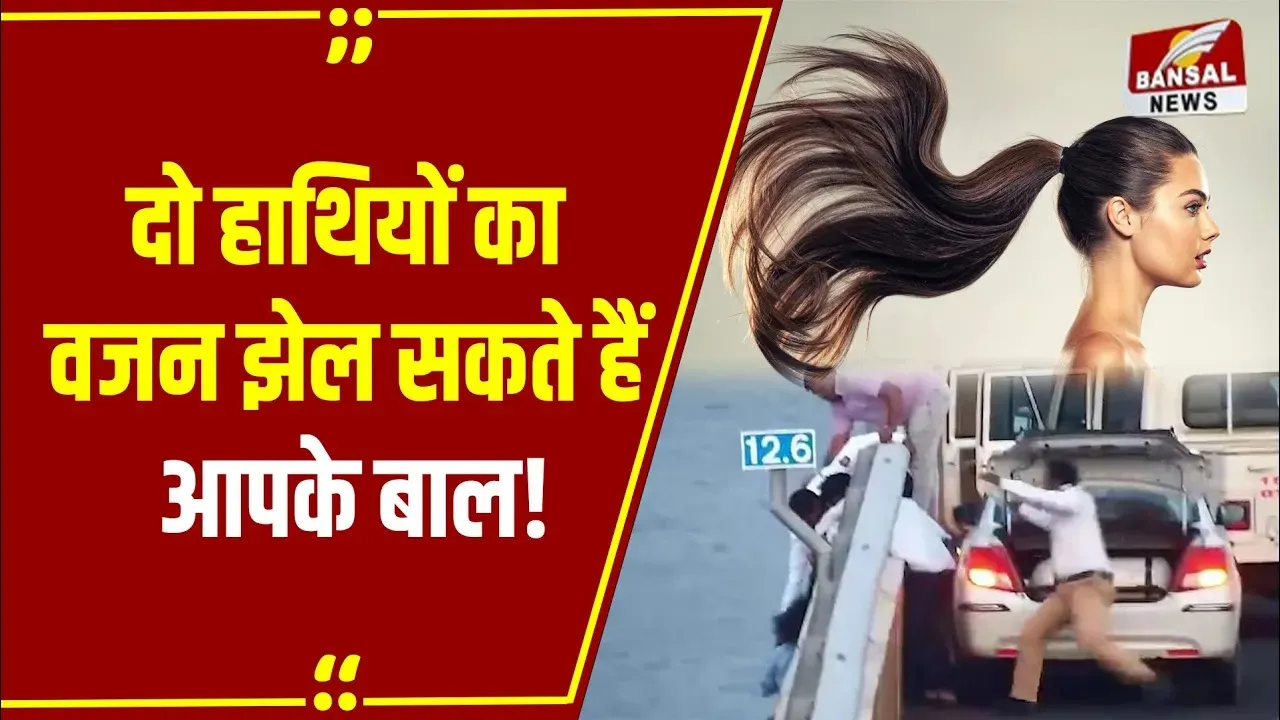 MP NEWS: मुंबई में बालों से बची थी जान, क्या आप जानते हैं बालों की मजबूती, कैसे ट्रक खींच सकते हैं ये बाल ?