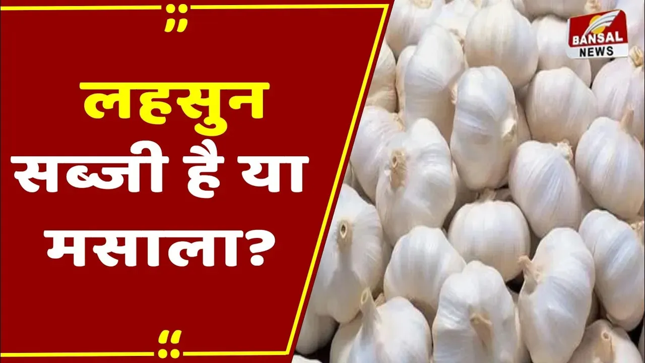 MP News: लहसुन सब्जी या मसाला? MP High Court के फैसले से किसानों को मिली बड़ी राहत