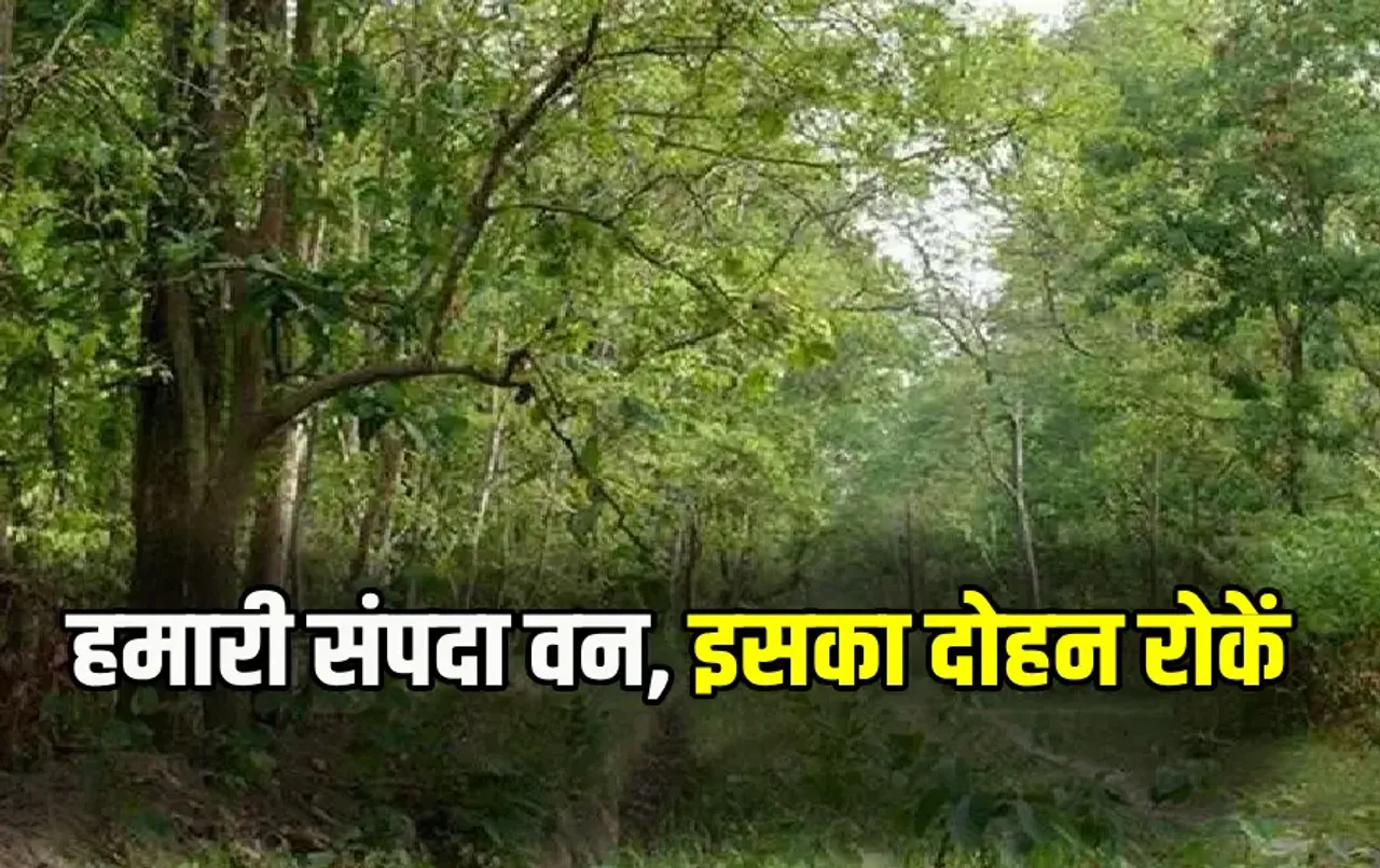 National Forest Martyrs Day 2024