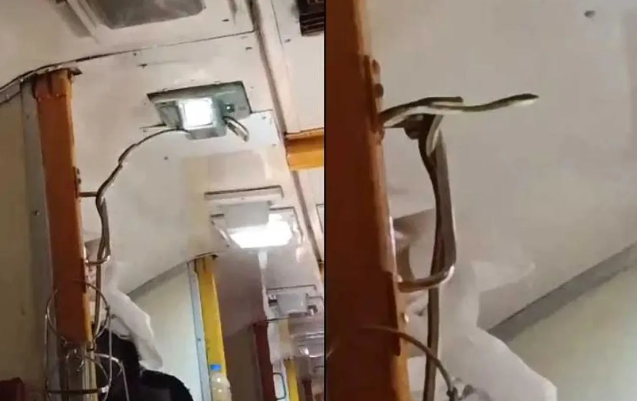 Snake In Train: जब चलती ट्रेन में फुफकारने लगा सांप, गरीब रथ एक्सप्रेस के AC कोच में कोबरा को देख लोगों में मचा हड़कंप