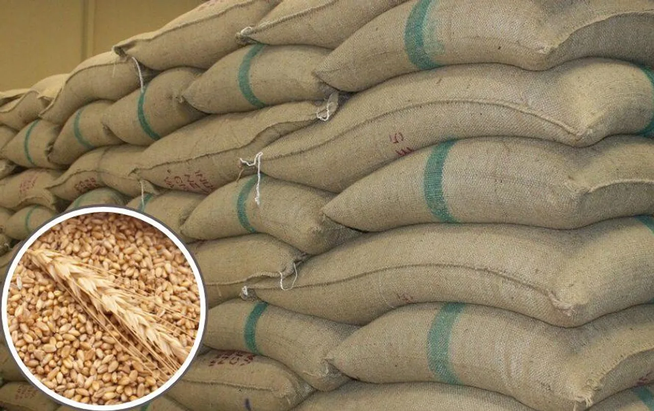 गेहूं की जमाखोरी पर अंकुश: थोक व्यापारियों को 3 हजार टन से अधिक भंडारण करने की अनुमति नहीं