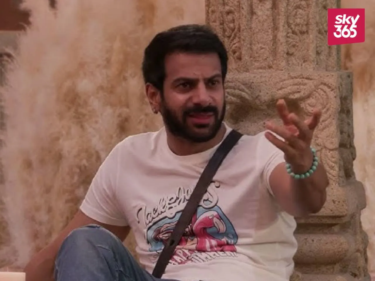 Karan Veer Mehra