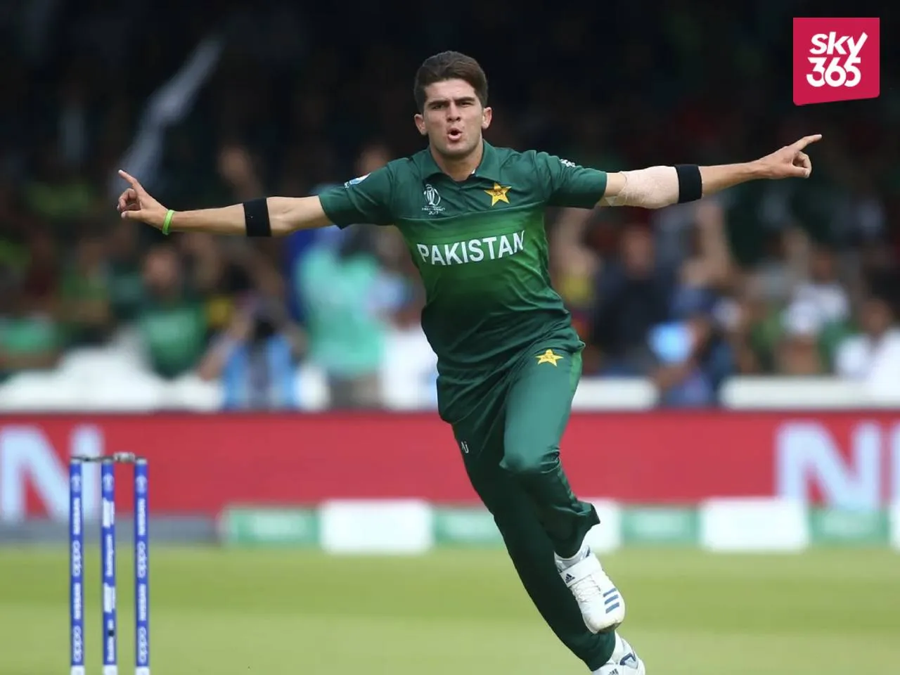 Shaheen Afridi