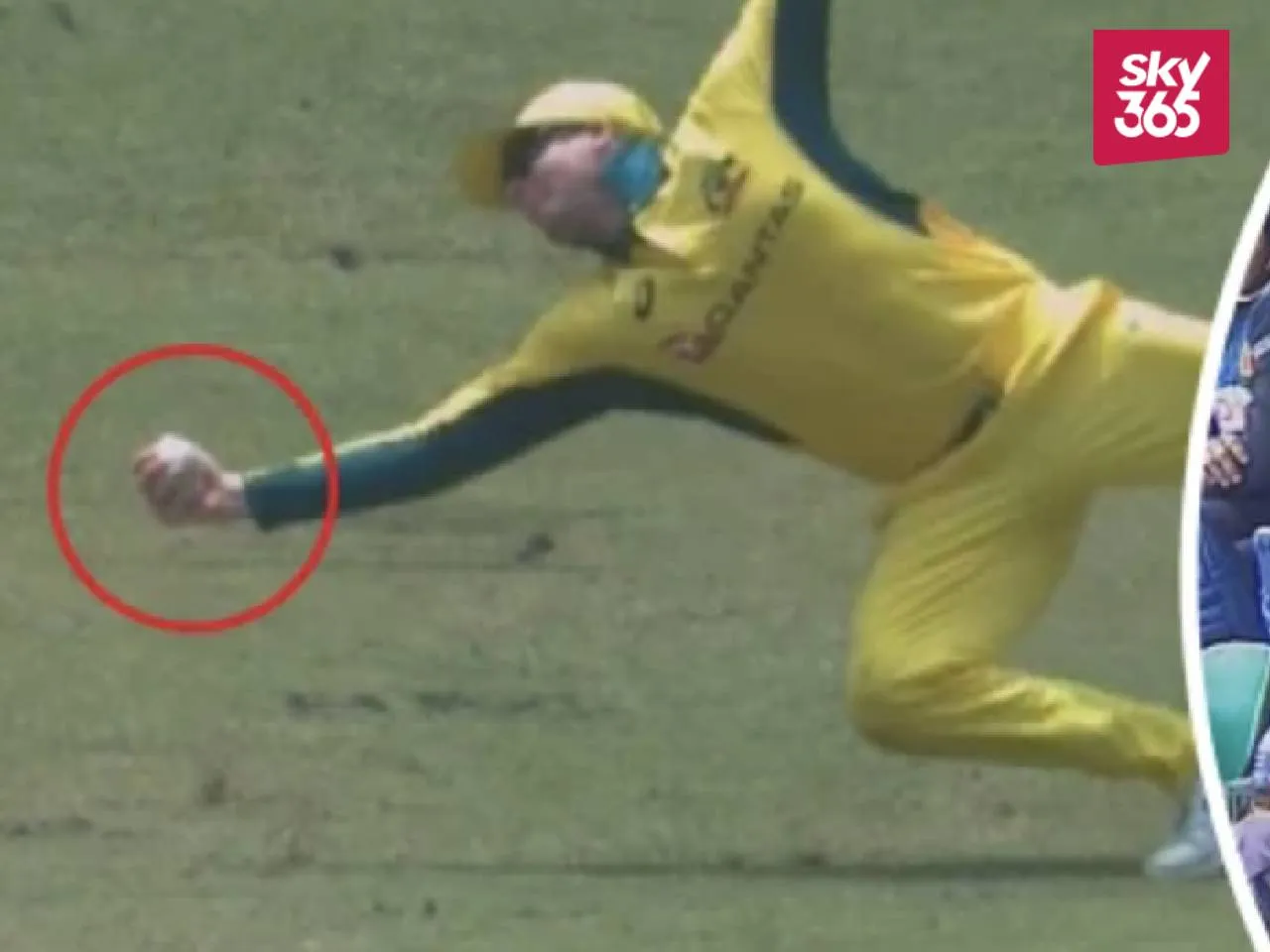 Steve Smith