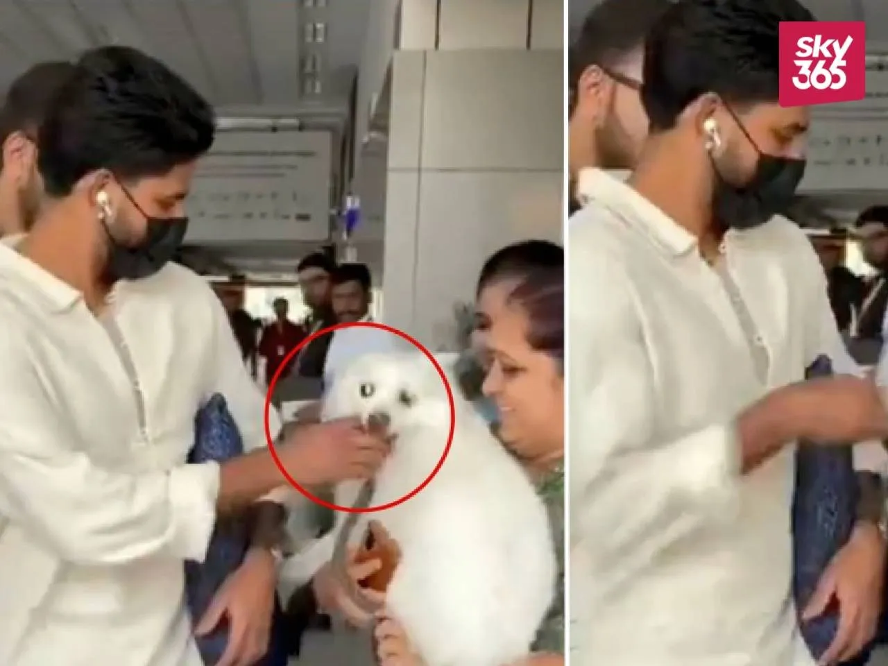 Shreyas Iyer Dog Bite