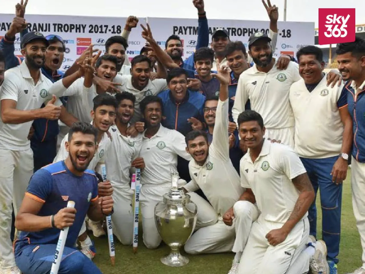 domestic cricket
