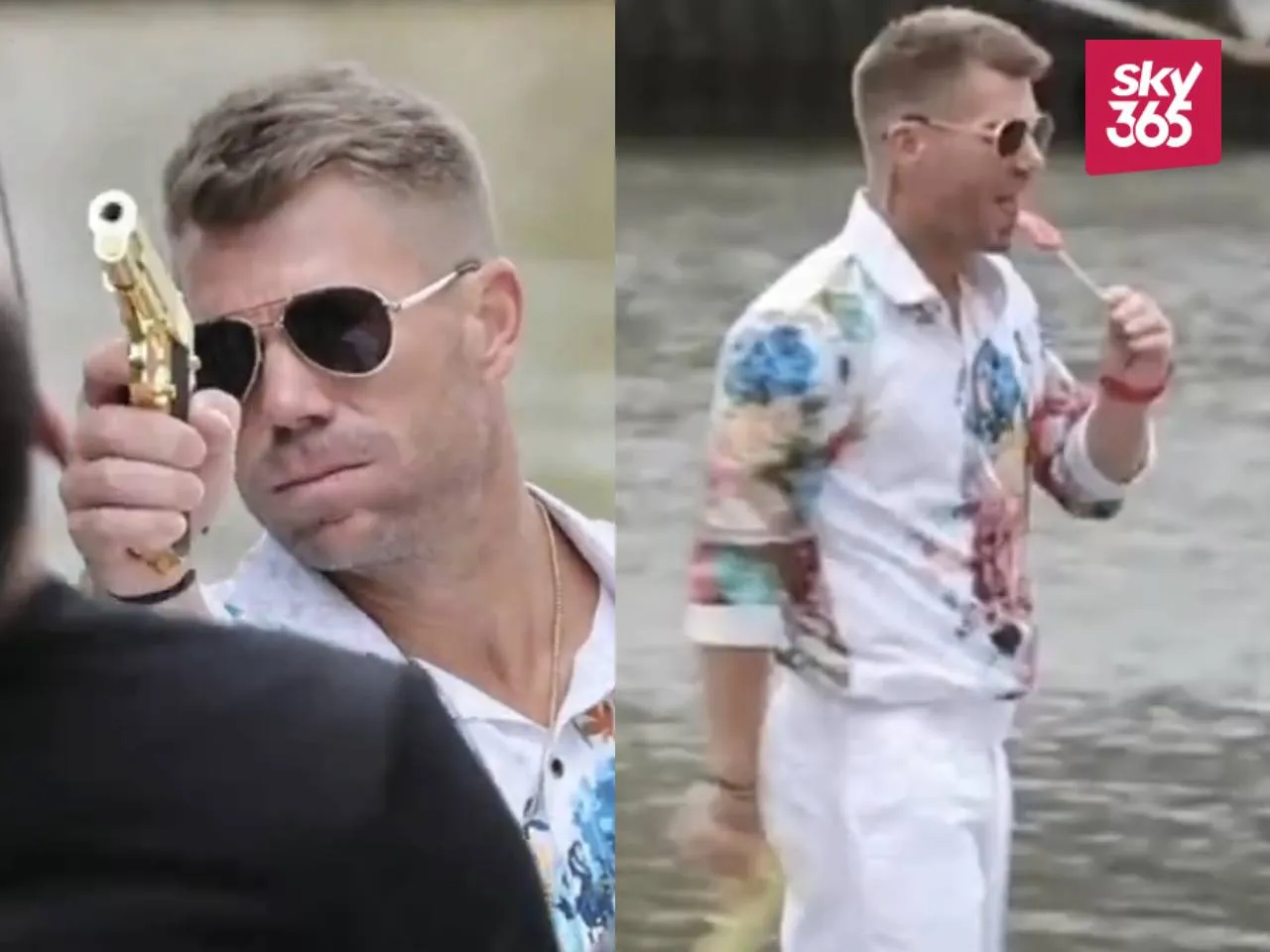 David Warner 