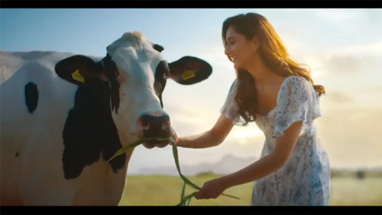 Pride of Cows ad