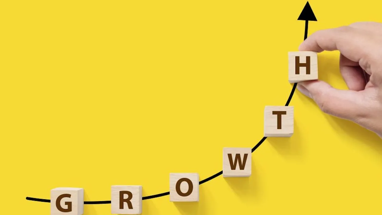 Growth-Strategies