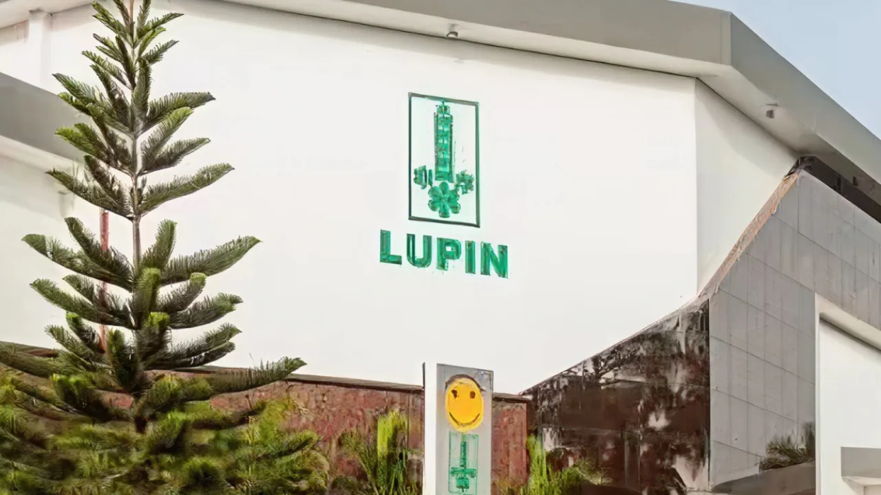 Lupin