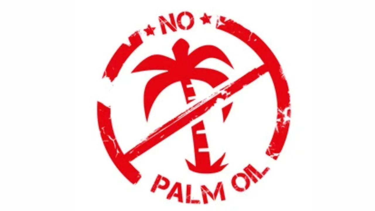 No palm oil
