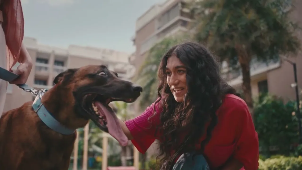 lowe gemini ad