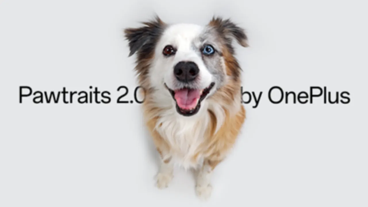 pawtraits2.0