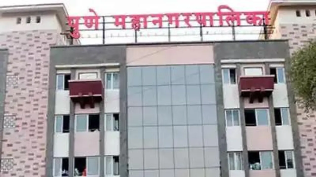 pmc hoarding